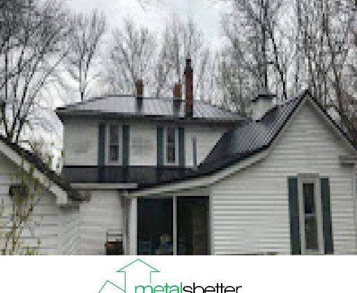 Understanding the Role of Local Roofing Experts