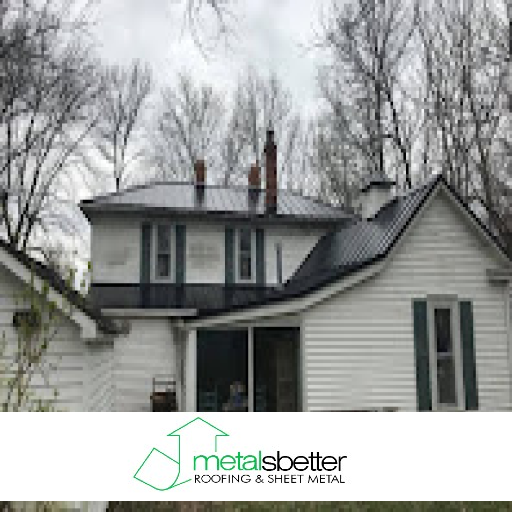 Understanding the Role of Local Roofing Experts